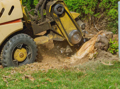 Stump Grinding